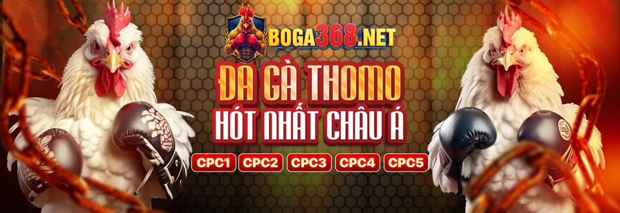 Ứng dụng manclub trên điện thoại với khuyến mãi 2026